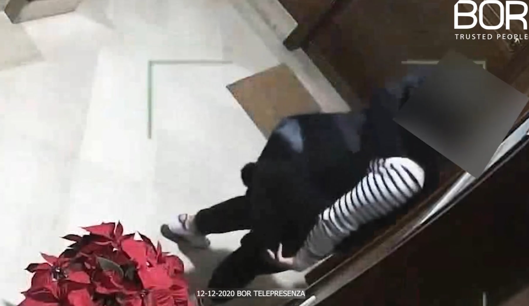 Immagine in evidenza