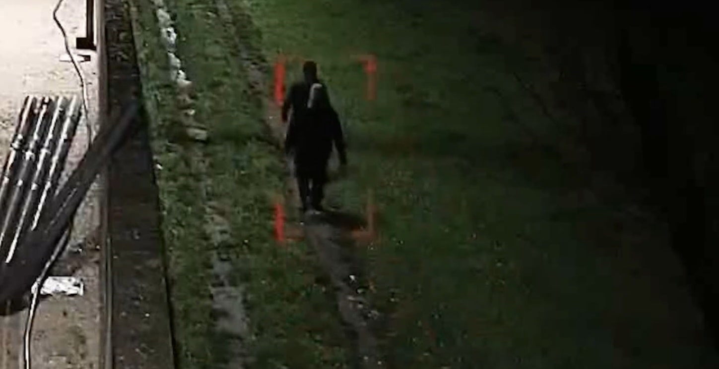 Immagine in evidenza