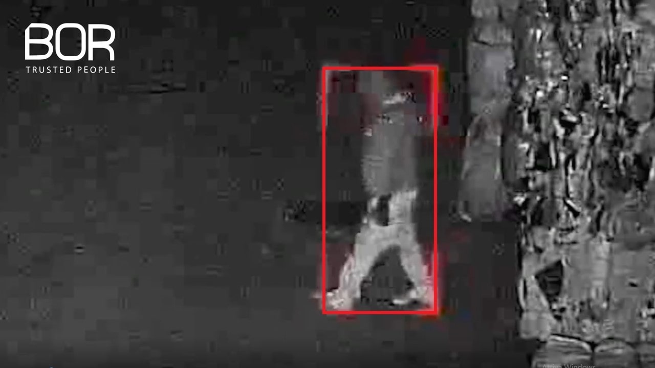 Immagine in evidenza