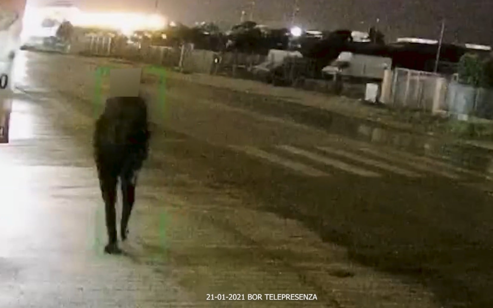 Immagine in evidenza