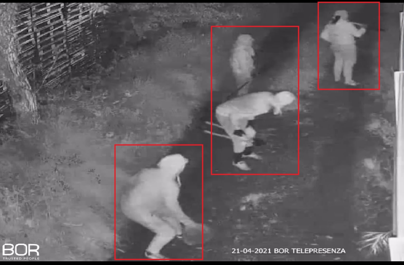 Immagine in evidenza