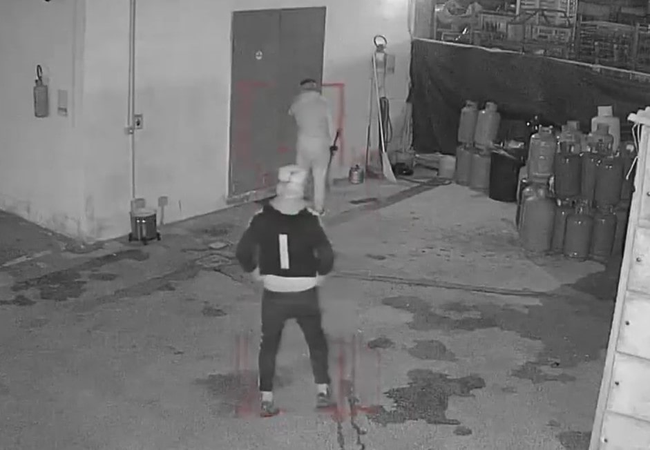 Immagine in evidenza