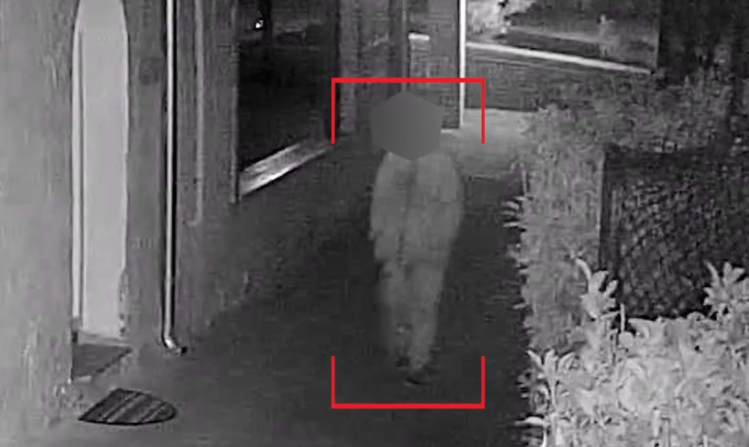 Immagine in evidenza