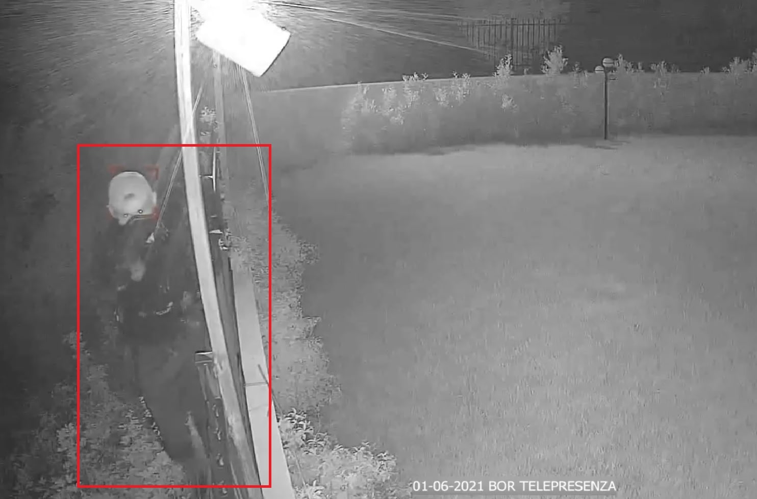 Immagine in evidenza