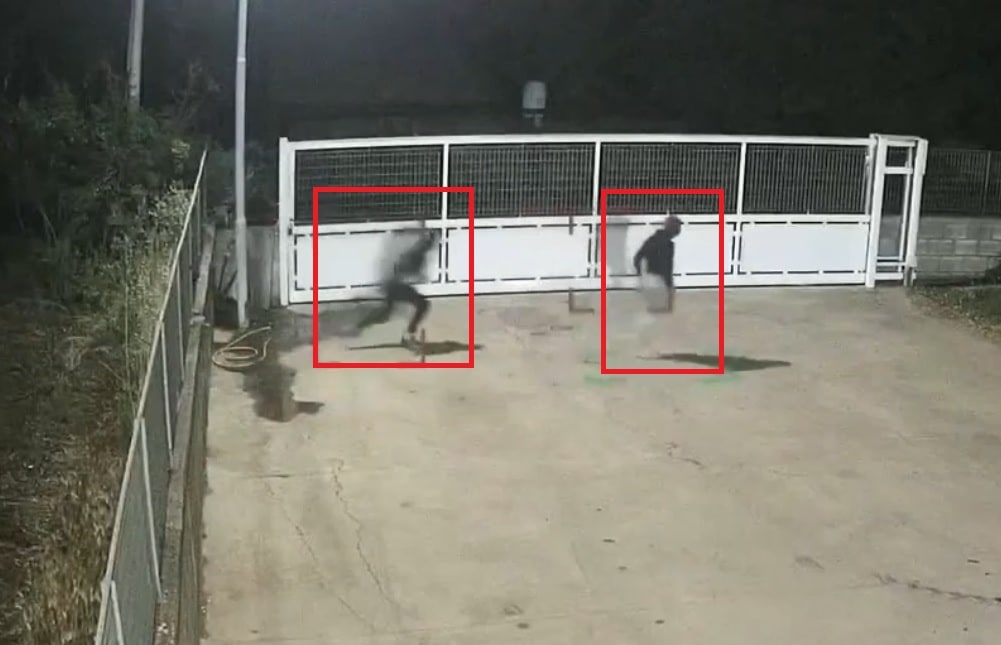 Immagine in evidenza