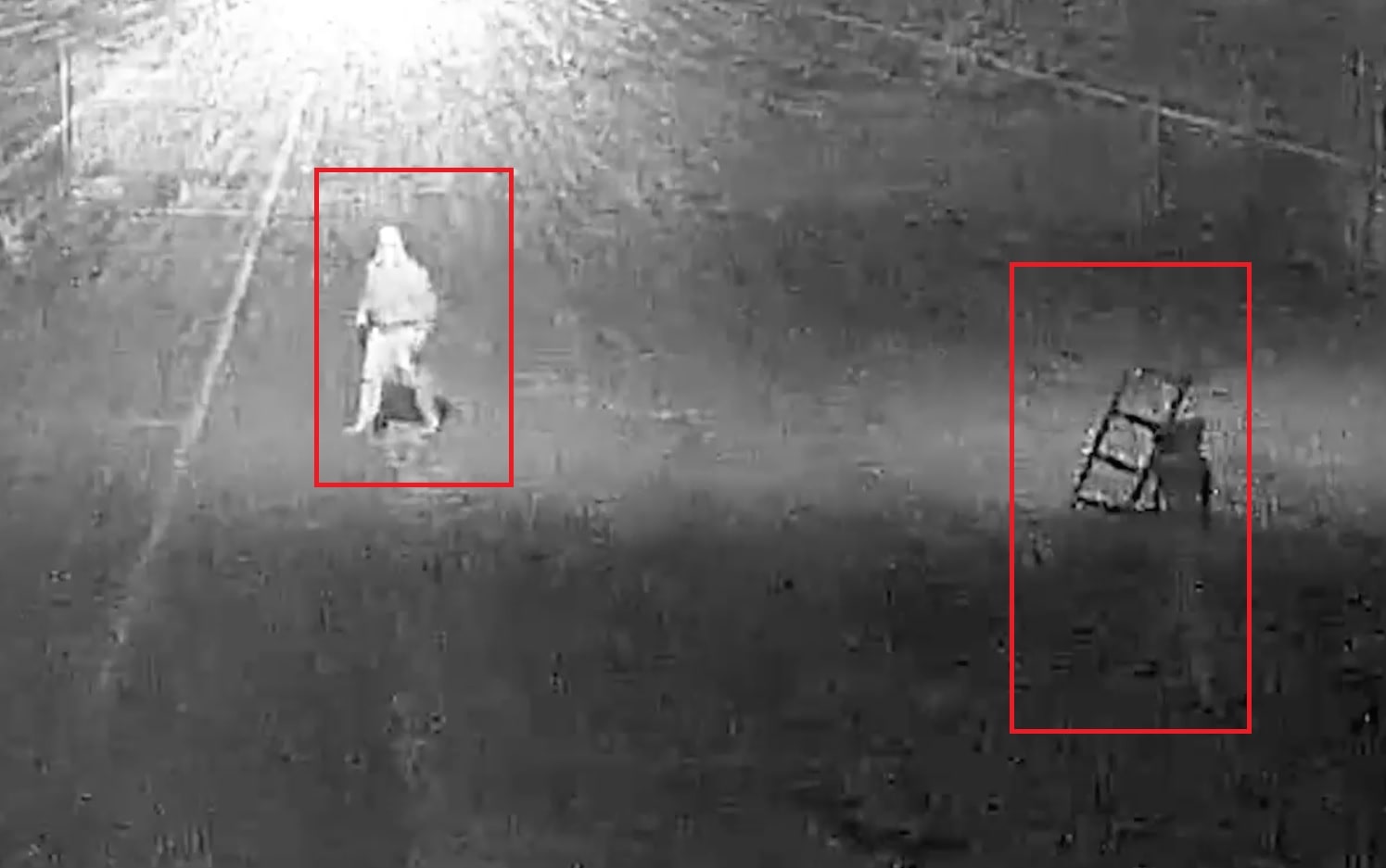 Immagine in evidenza