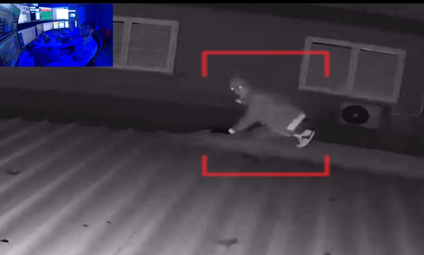 Immagine in evidenza