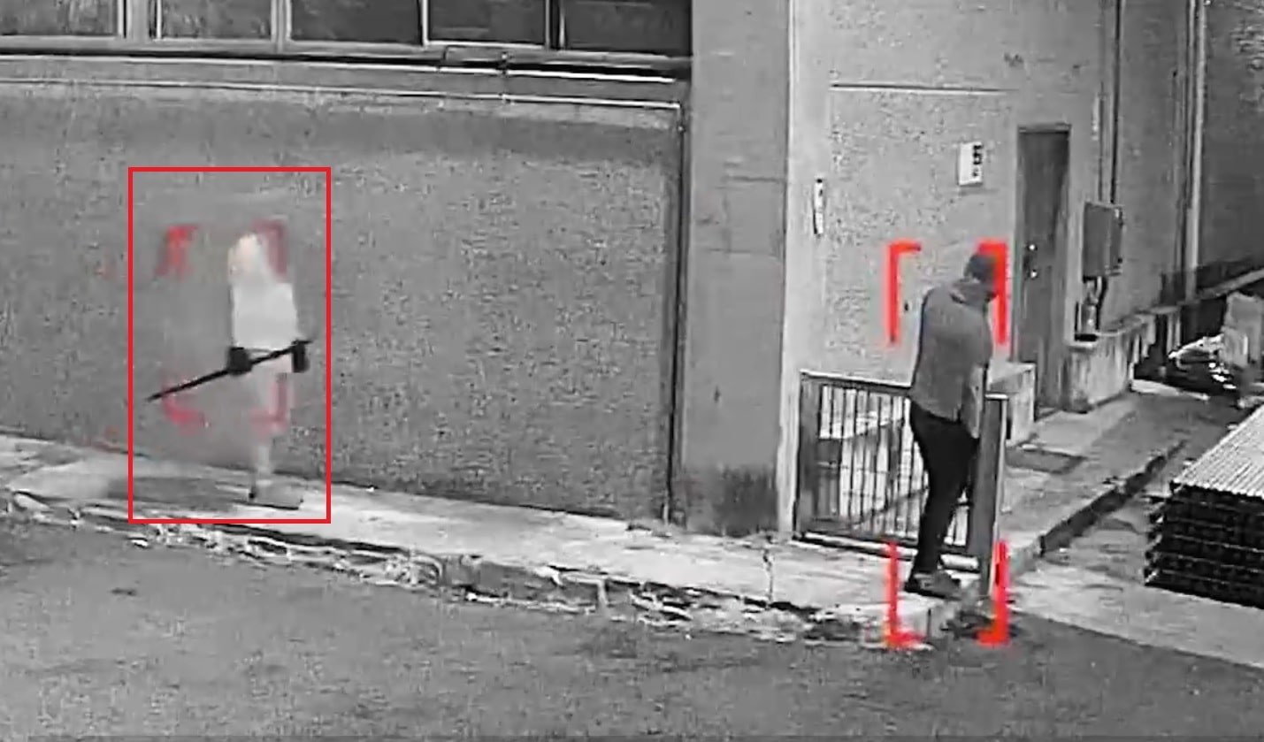 Immagine in evidenza