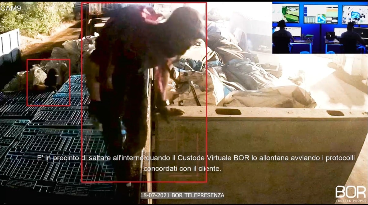 Immagine in evidenza