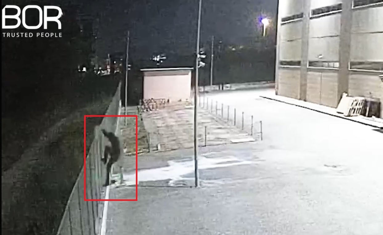 Immagine in evidenza