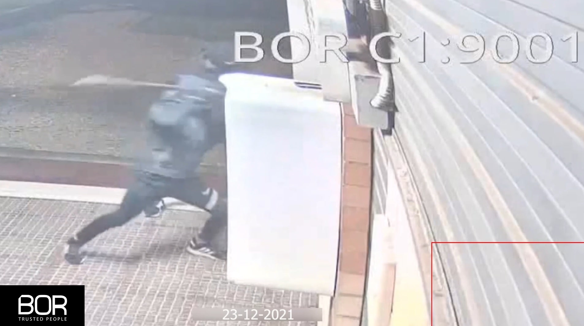 Immagine in evidenza