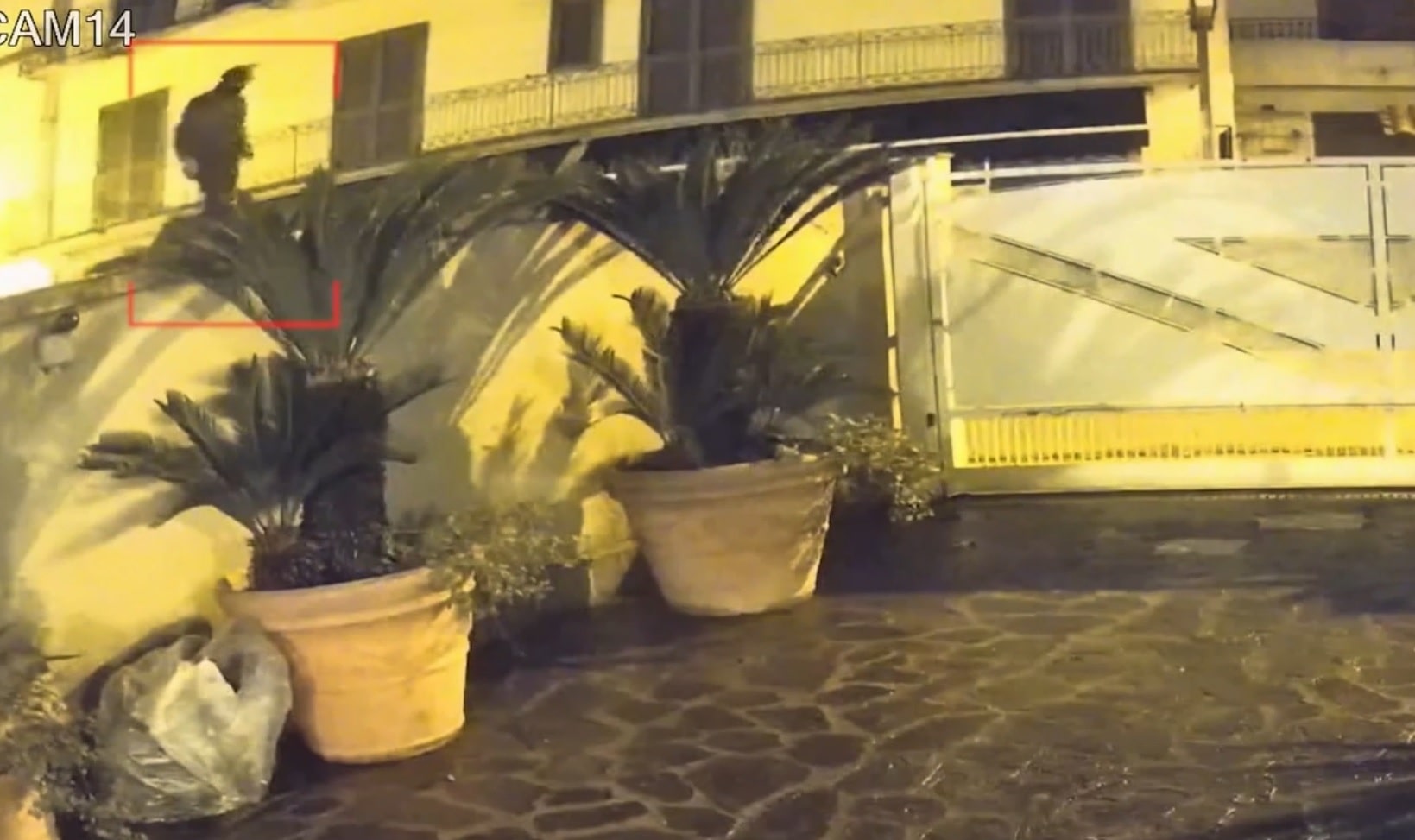 Immagine in evidenza