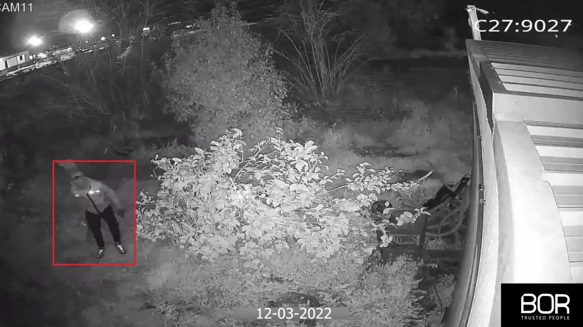 Immagine in evidenza