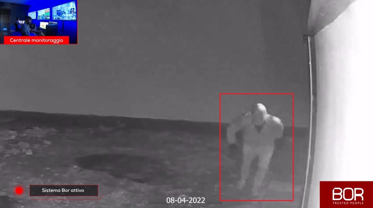 Immagine in evidenza