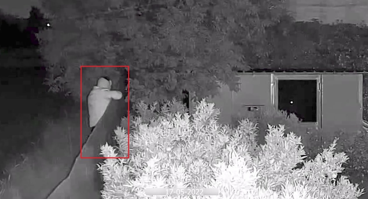 Immagine in evidenza