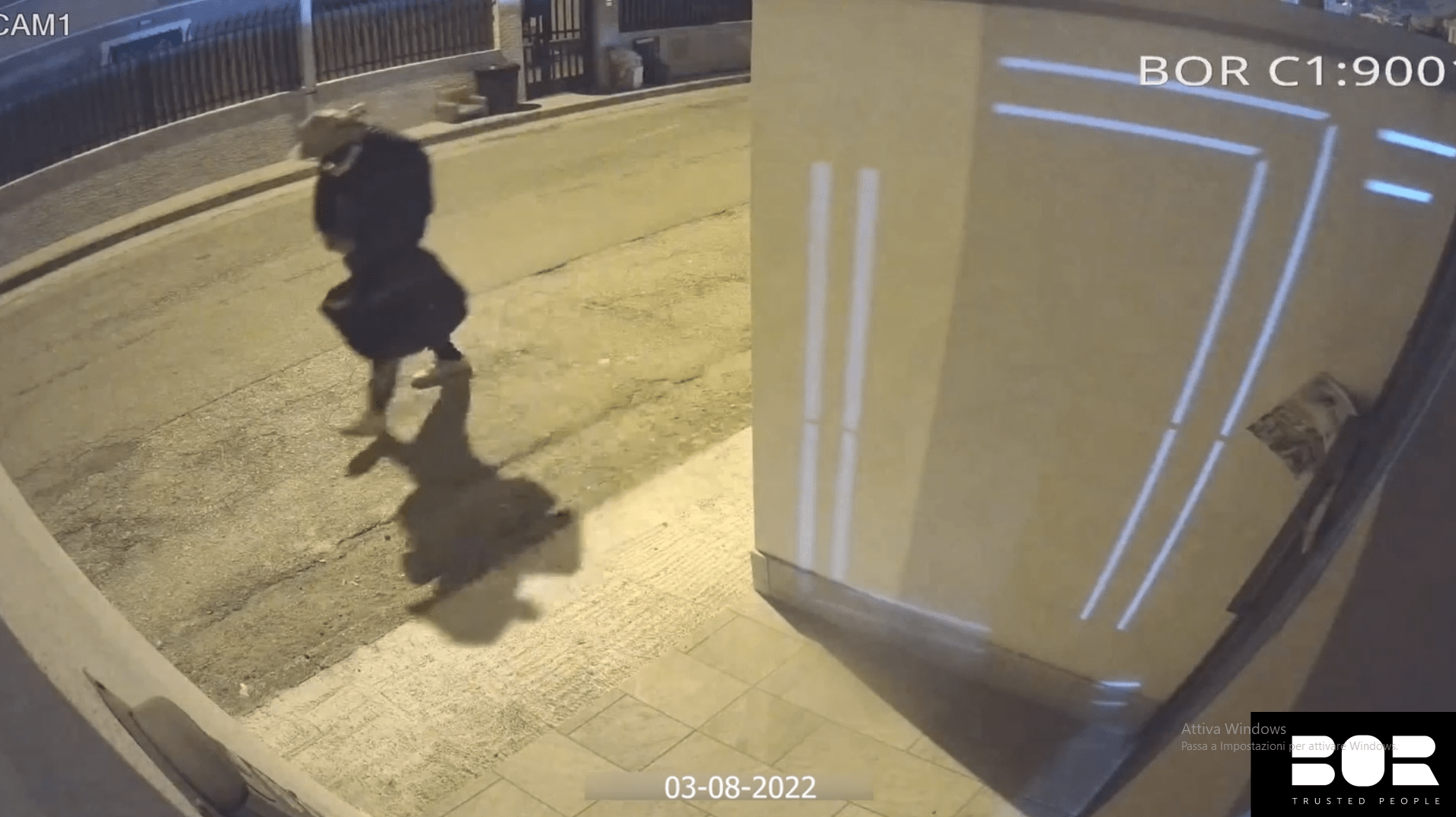 Immagine in evidenza