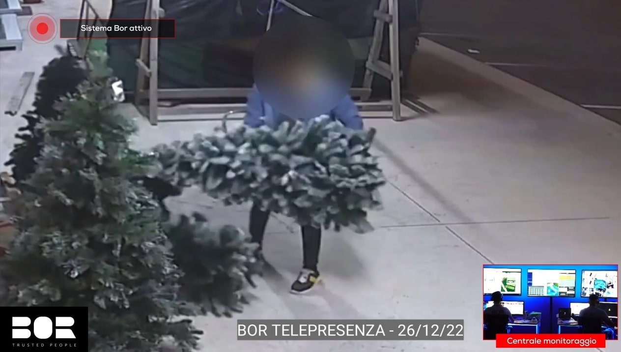 Immagine in evidenza